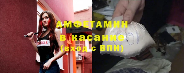 шишки Пестово