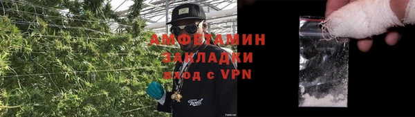 шишки Пестово