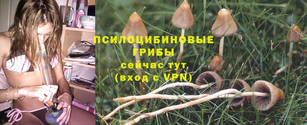 PSILOCYBIN Переславль-Залесский