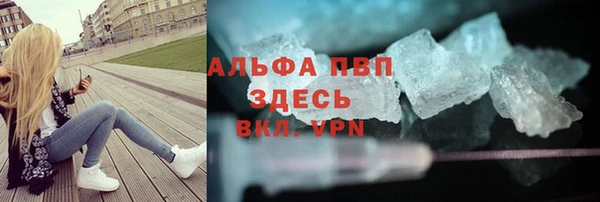 PSILOCYBIN Переславль-Залесский