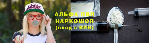 шишки Пестово