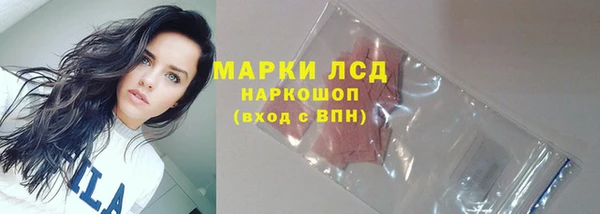 шишки Пестово