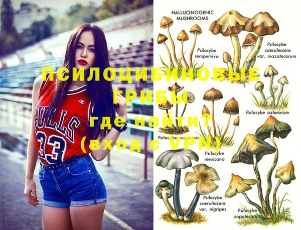 гидропоника Пересвет