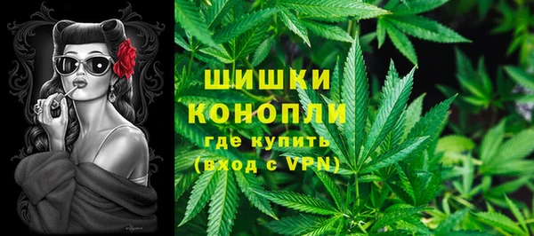 гидропоника Пересвет