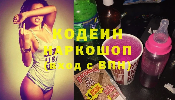 шишки Пестово