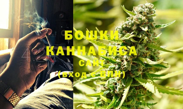 шишки Пестово