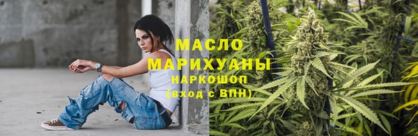гидропоника Пересвет