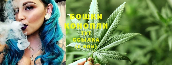 PSILOCYBIN Переславль-Залесский