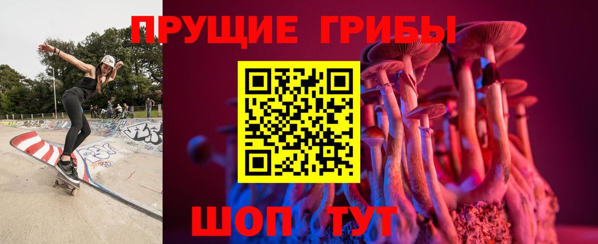Галлюциногенные грибы прущие грибы  Вход с VPN  Псилоцибиновые грибы Psilocybine cubensis  Рославль 