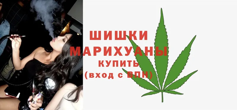 Шишки марихуана Amnesia  Рославль 